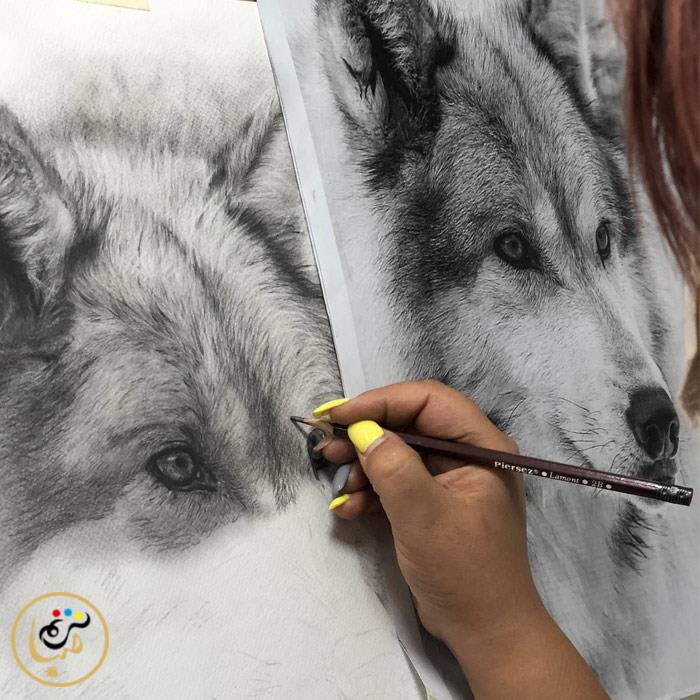 آموزش نقاشی سیاه قلم حیوانات