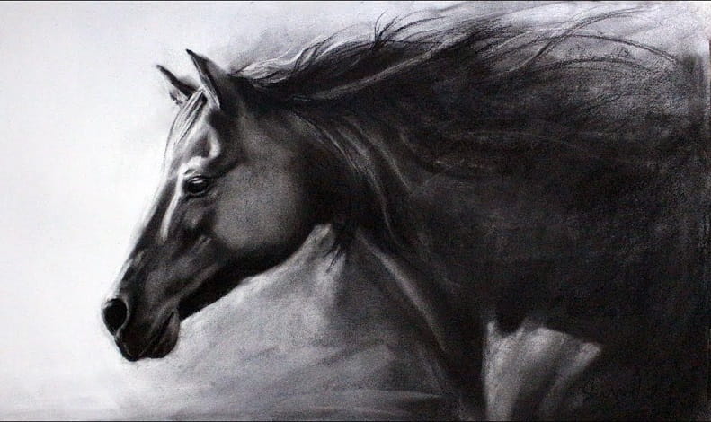 آموزش طراحی با زغال