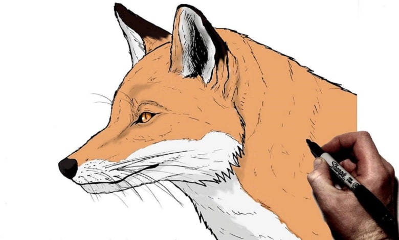 اصول تصویرسازی چیست؟