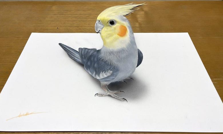 آموزش نقاشی سه بعدی حیوانات