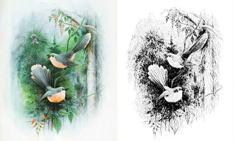 تفاوت طراحی و نقاشی: مقایسه‌ ای جذاب میان دو هنر بصری