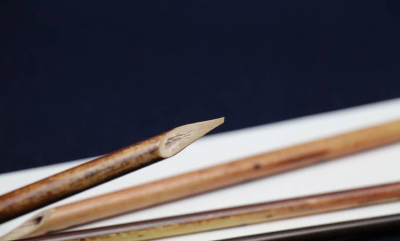 قلم نی دزفولی