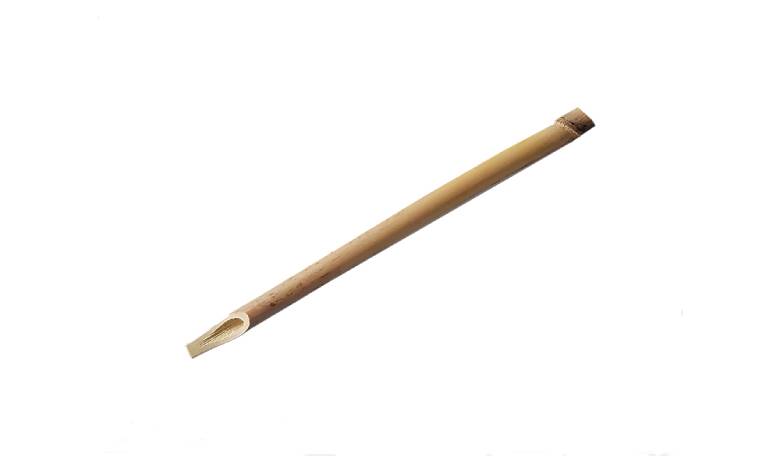 قلم نی بامبو