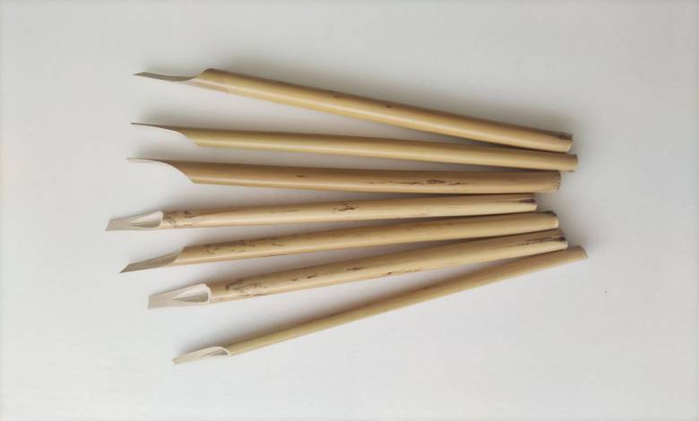 قلم نی شمالی