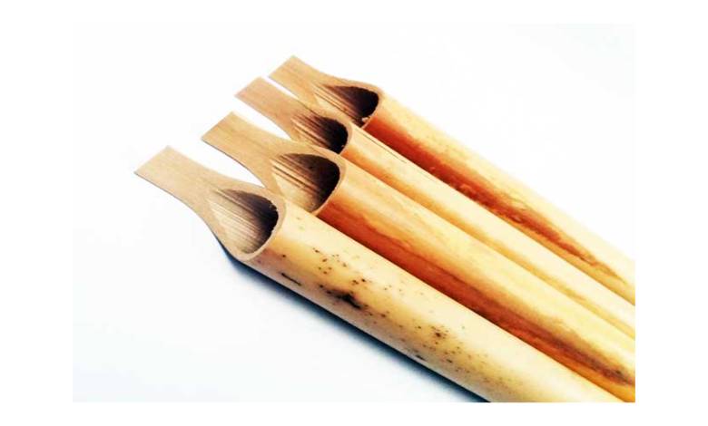 قلم نی جنوبی