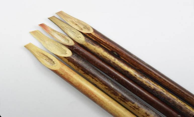 قلم نی خیزران