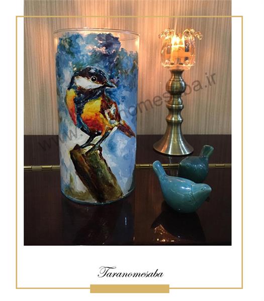 ویترای روی شیشه محدب