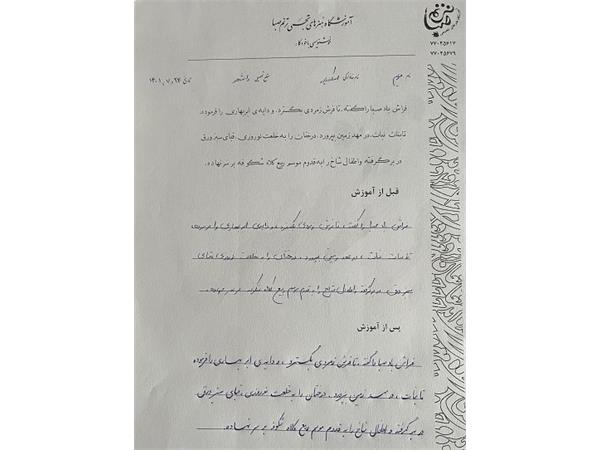 نمونه خط هنرجویان ترنم صبا