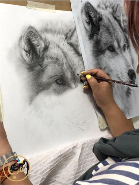 سیاه قلم طراحی از حیوانات